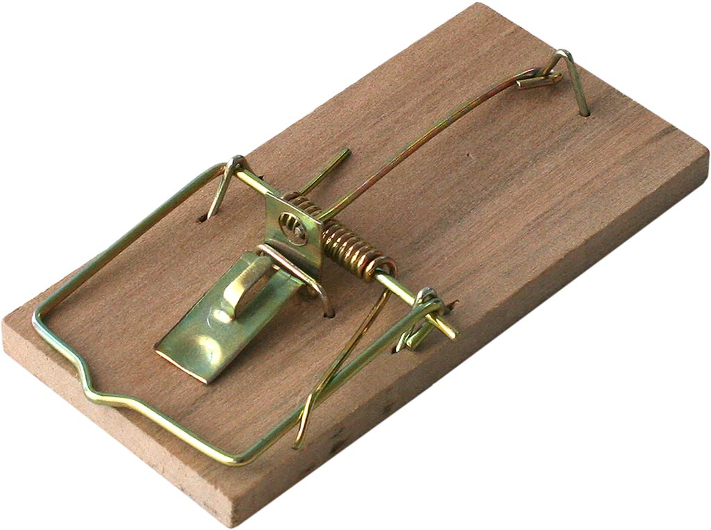 BROS HIGH DURABILITY WOODEN MOUSE TRAP - EFFECTIVE & SAFE